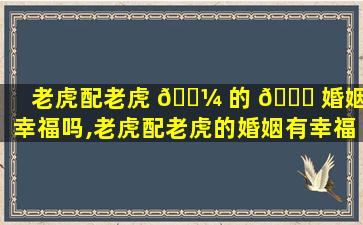 老虎配老虎 🐼 的 🐅 婚姻有幸福吗,老虎配老虎的婚姻有幸福吗*